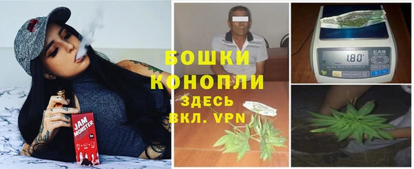 дживик Арсеньев