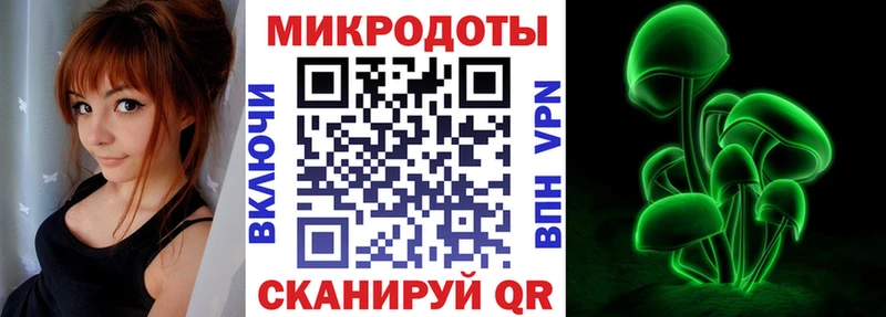 Галлюциногенные грибы Psilocybe  blacksprut рабочий сайт  Любим  как найти наркотики 